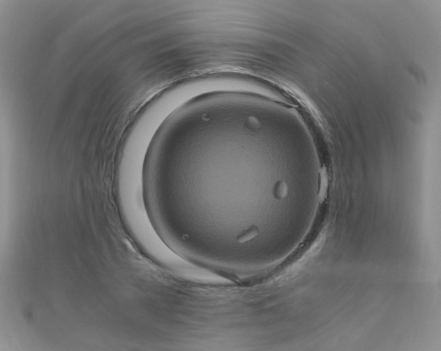 X0000110990785200907022115
