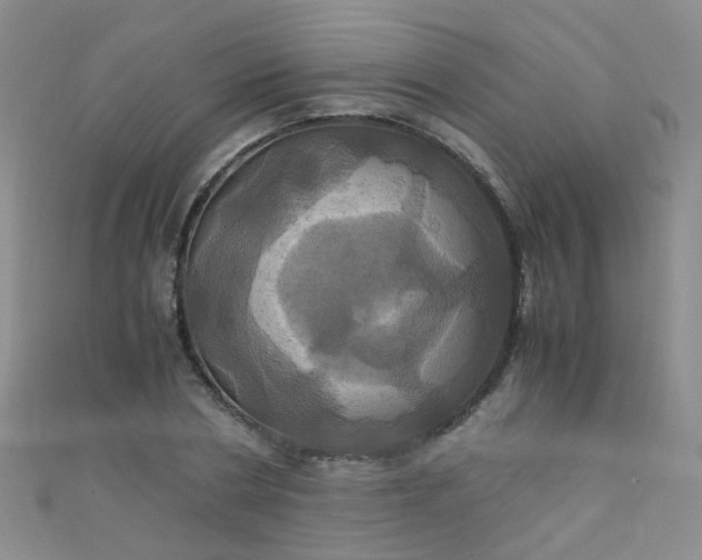 X0000110990786200907022115
