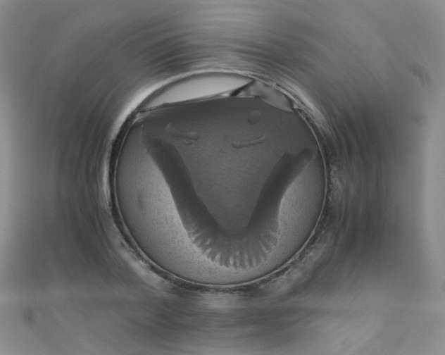 X0000110990788200907022115