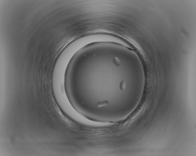 X0000110990793200907022115