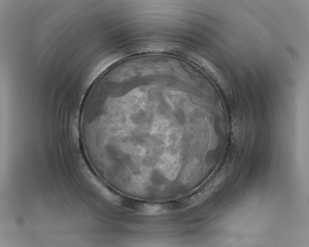 X0000110990794200907022115