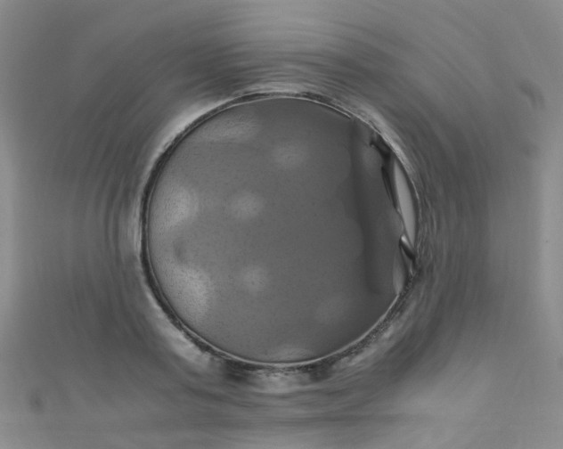 X0000110990795200907022115