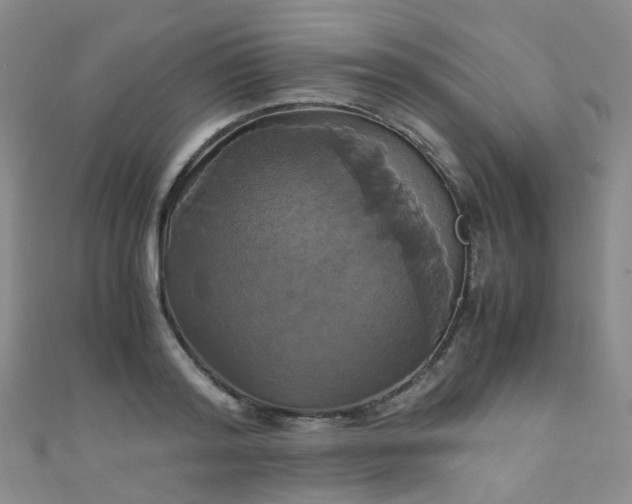 X0000110990796200907022115