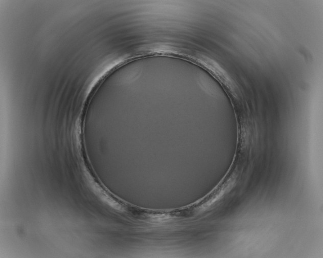 X0000110990798200907022115