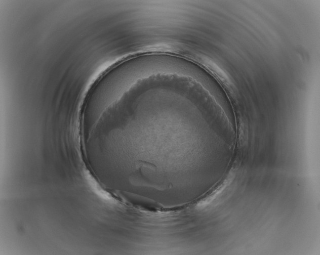 X0000110990800200907022115