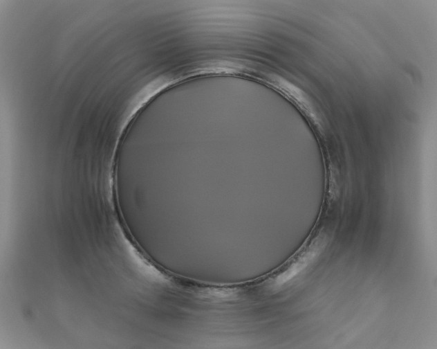 X0000110990802200907022115