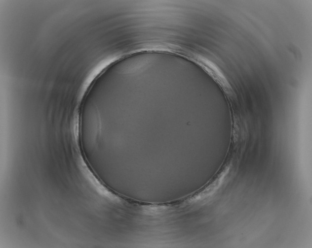 X0000110990804200907022115