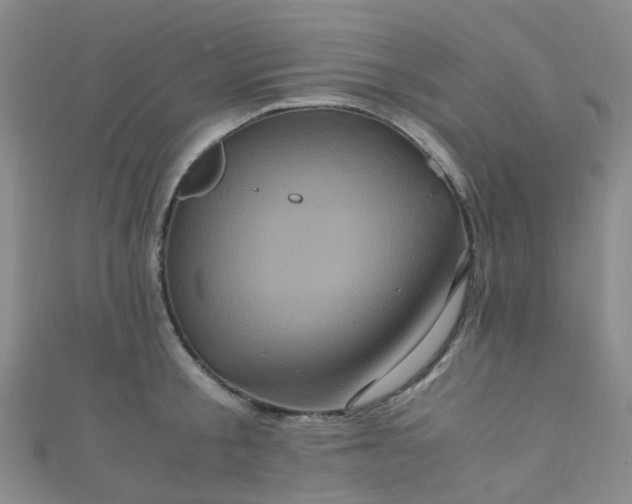 X0000110990805200907022115