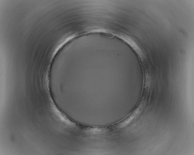 X0000110990806200907022115