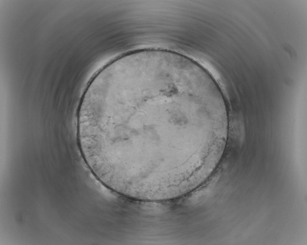 X0000110990807200907022115
