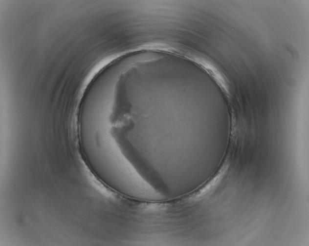 X0000110990808200907022115