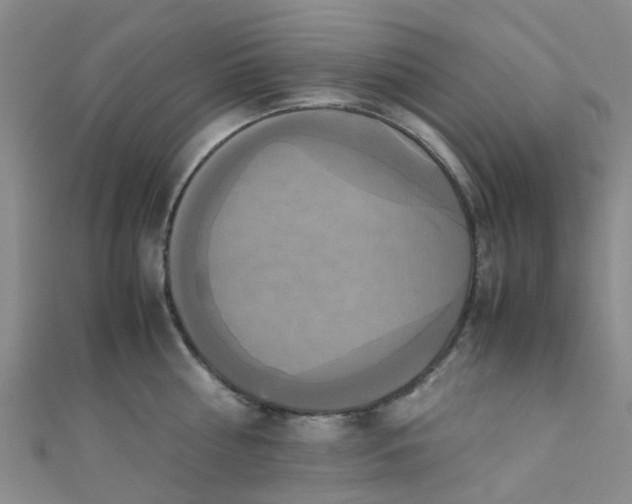 X0000110990810200907022115