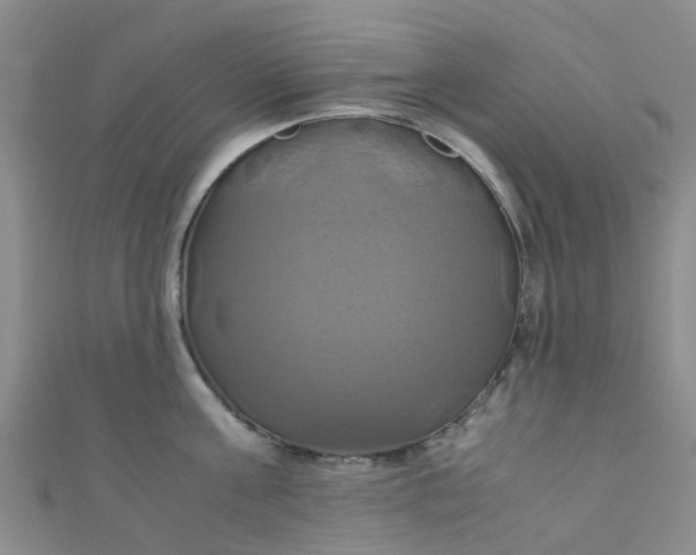 X0000110990811200907022115