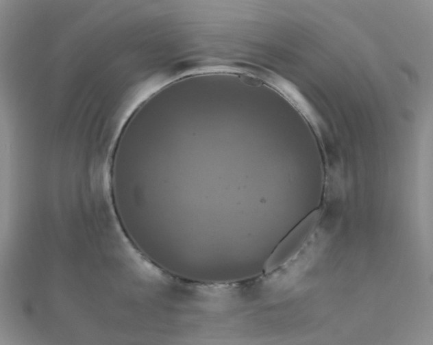 X0000110990813200907022115