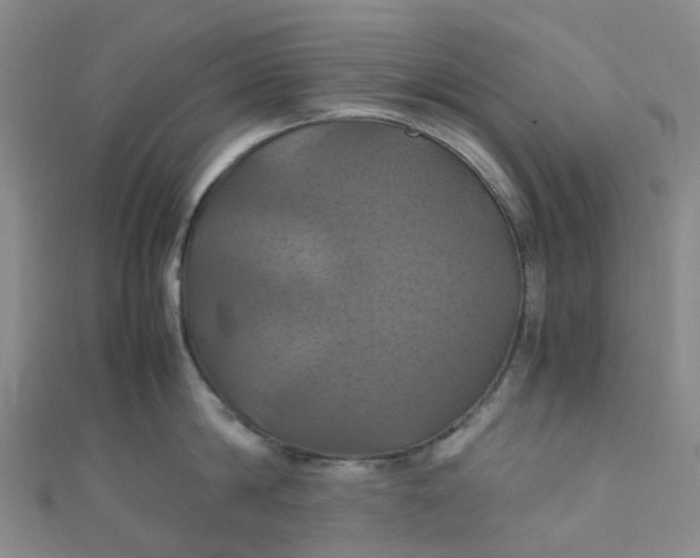 X0000110990814200907022115