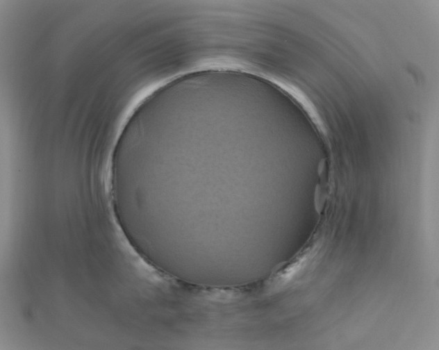 X0000110990815200907022115