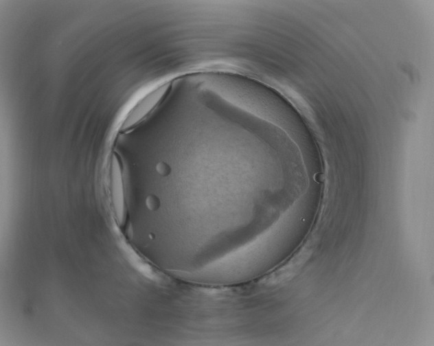 X0000110990816200907022115