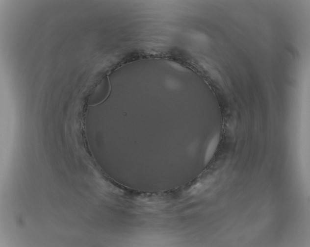X0000110990817200907022114