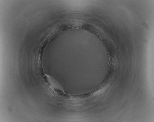 X0000110990818200907022114