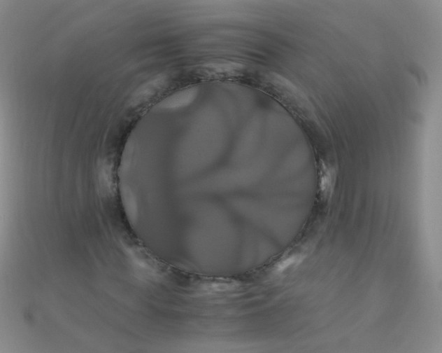 X0000110990819200907022114