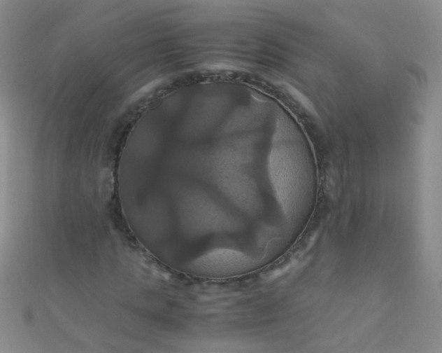 X0000110990821200907022115