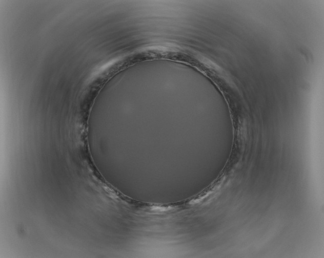 X0000110990822200907022115