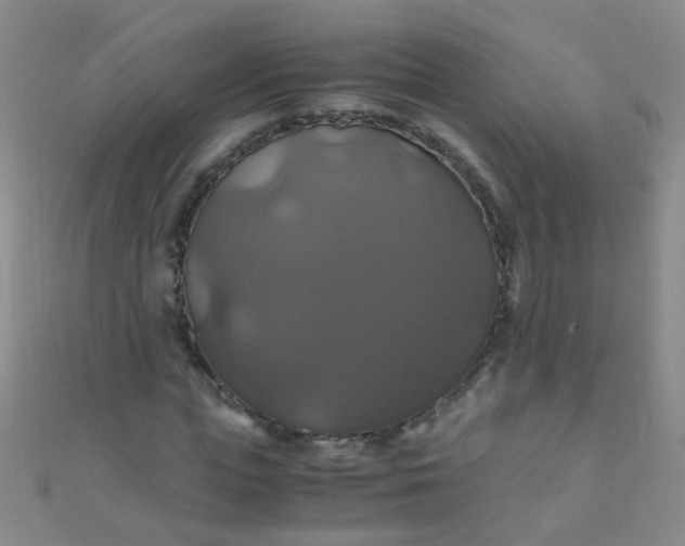 X0000110990823200907022115