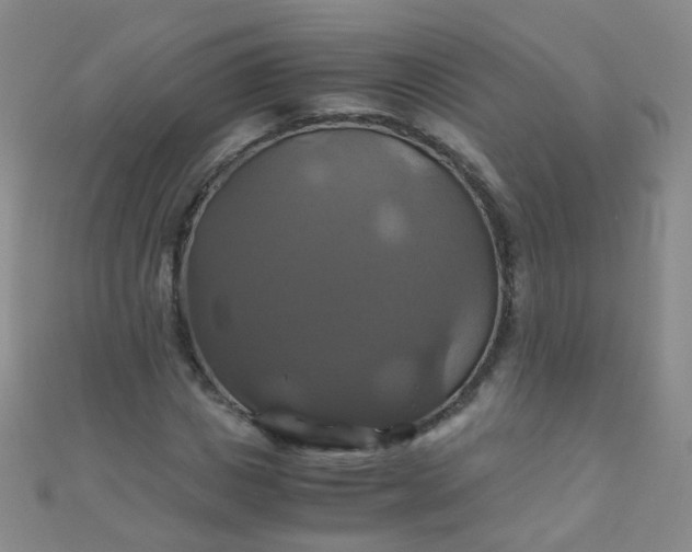 X0000110990825200907022115