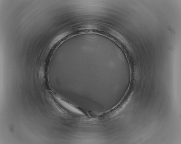 X0000110990826200907022115