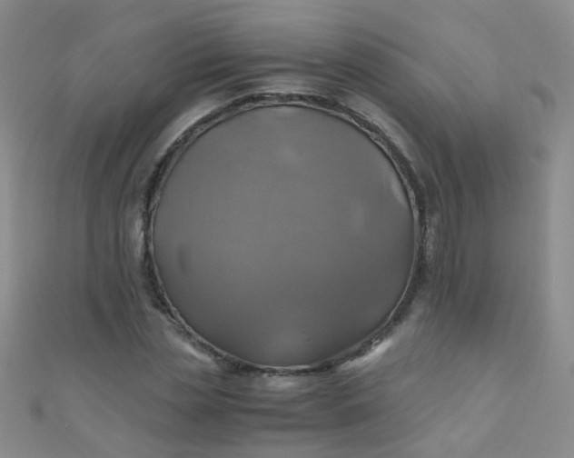 X0000110990829200907022115