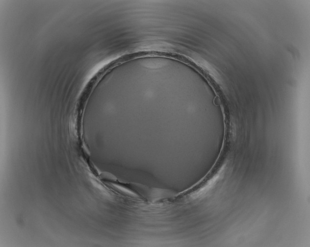 X0000110990830200907022115