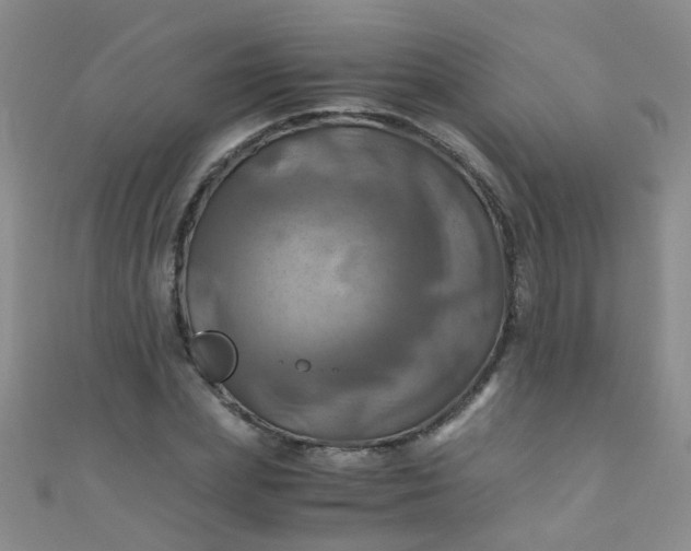 X0000110990831200907022115