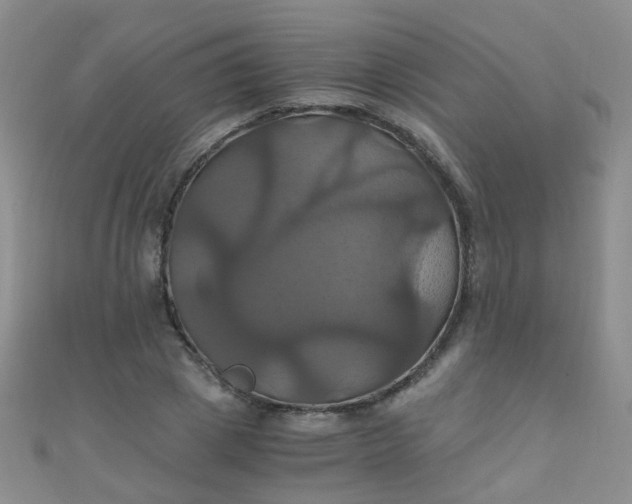 X0000110990833200907022115