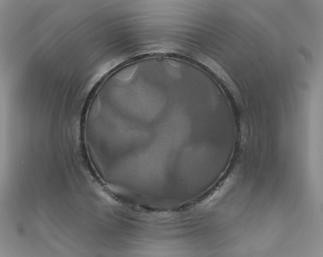 X0000110990834200907022115