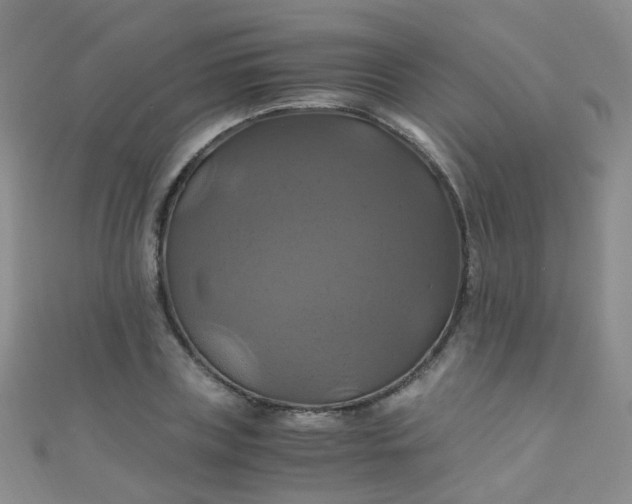 X0000110990835200907022115