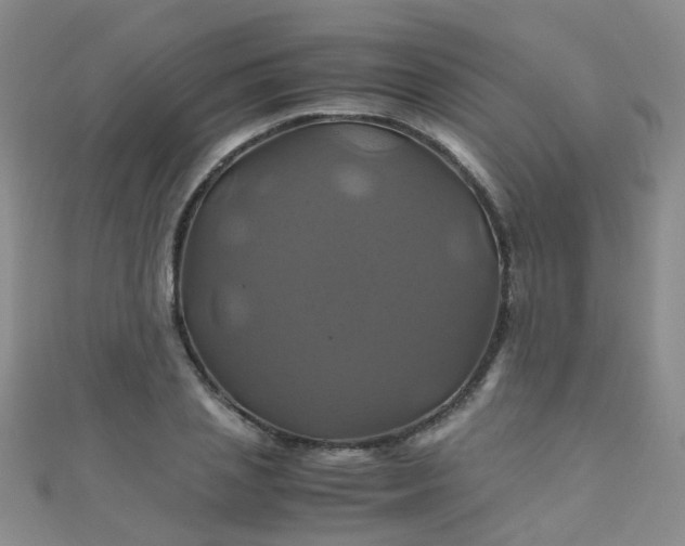 X0000110990837200907022115
