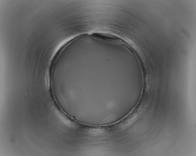 X0000110990838200907022115