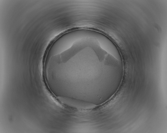 X0000110990840200907022115