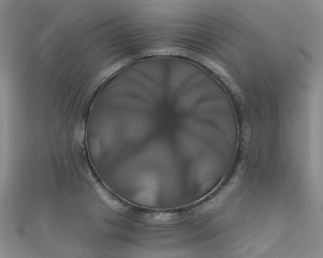 X0000110990841200907022115