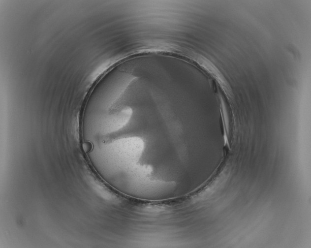 X0000110990842200907022115