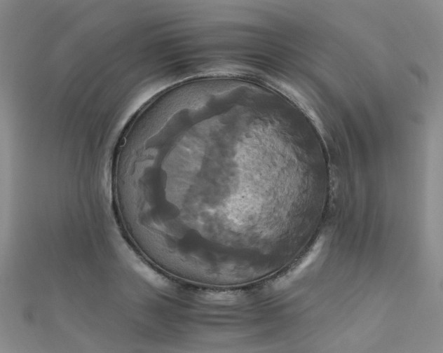 X0000110990843200907022115