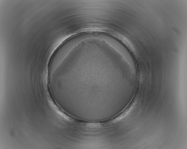 X0000110990844200907022115