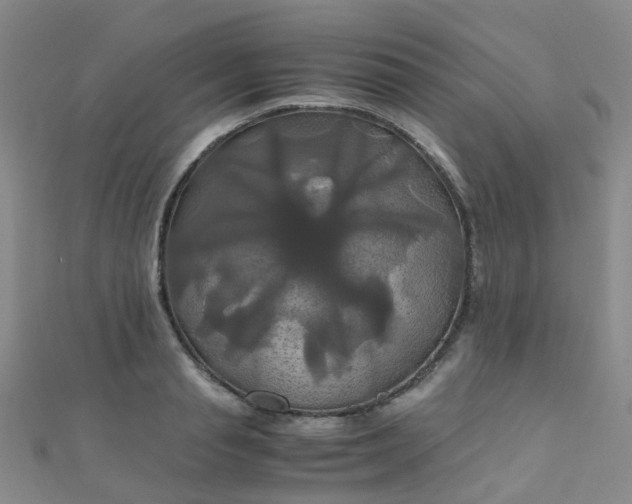 X0000110990845200907022115