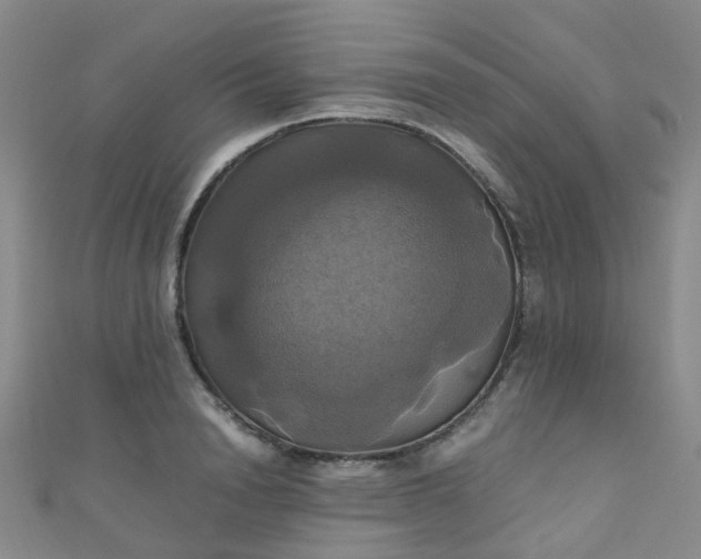 X0000110990846200907022115