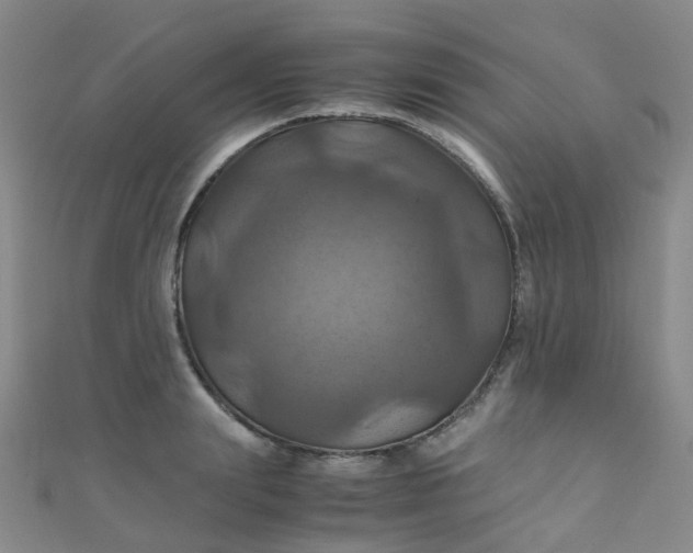 X0000110990847200907022115