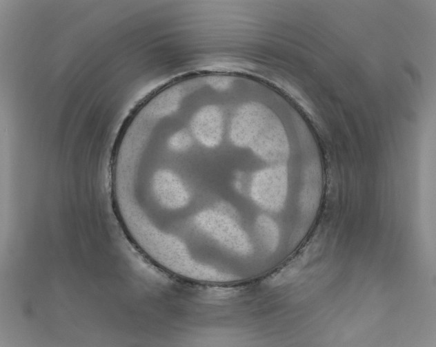 X0000110990848200907022115