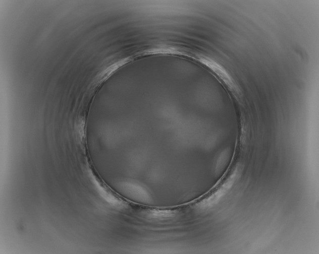 X0000110990849200907022115