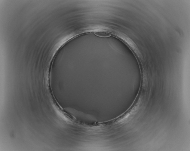 X0000110990850200907022115