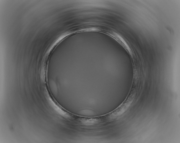 X0000110990851200907022115