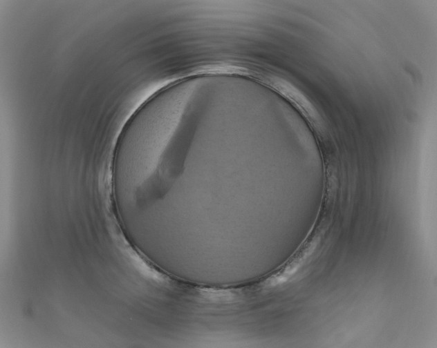 X0000110990852200907022115